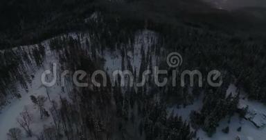 从冬山针叶林上的无人机观看4k视频